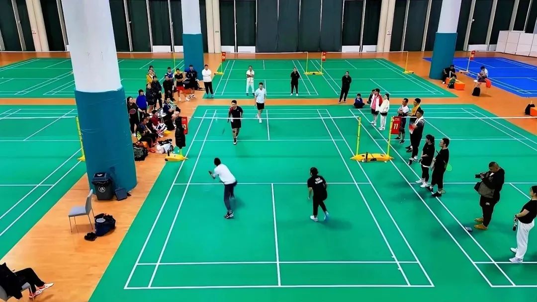 带上“毛孩子”一起逛！世园“夜市派对”太全面了