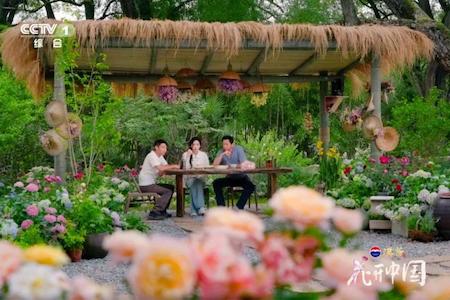 《花开中国》开播 在繁花中遇见美好生活