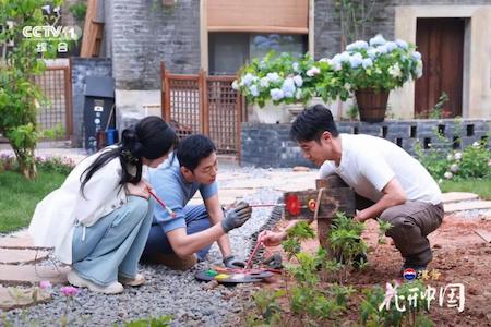 《花开中国》开播 在繁花中遇见美好生活