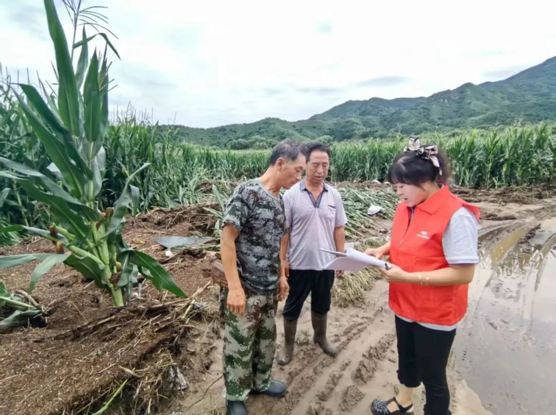 暴雨受损农户获理赔！农业复产有序推进
