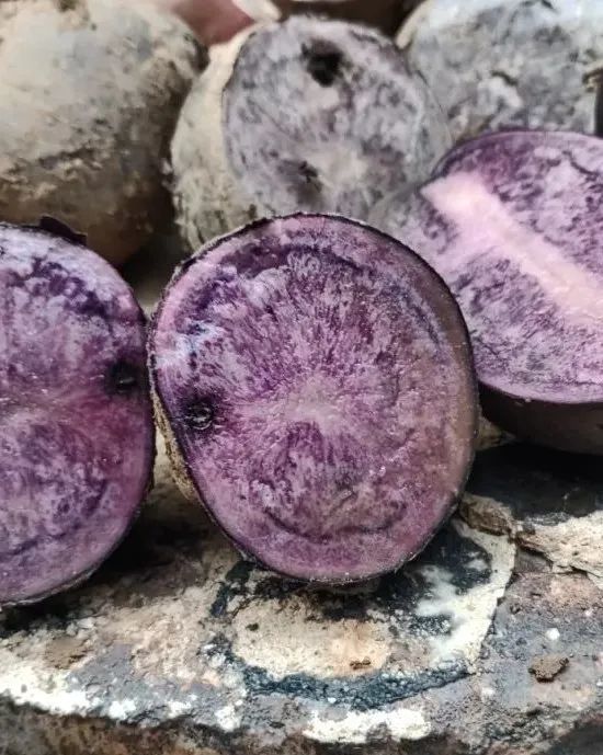 宝！贝！疙！瘩！