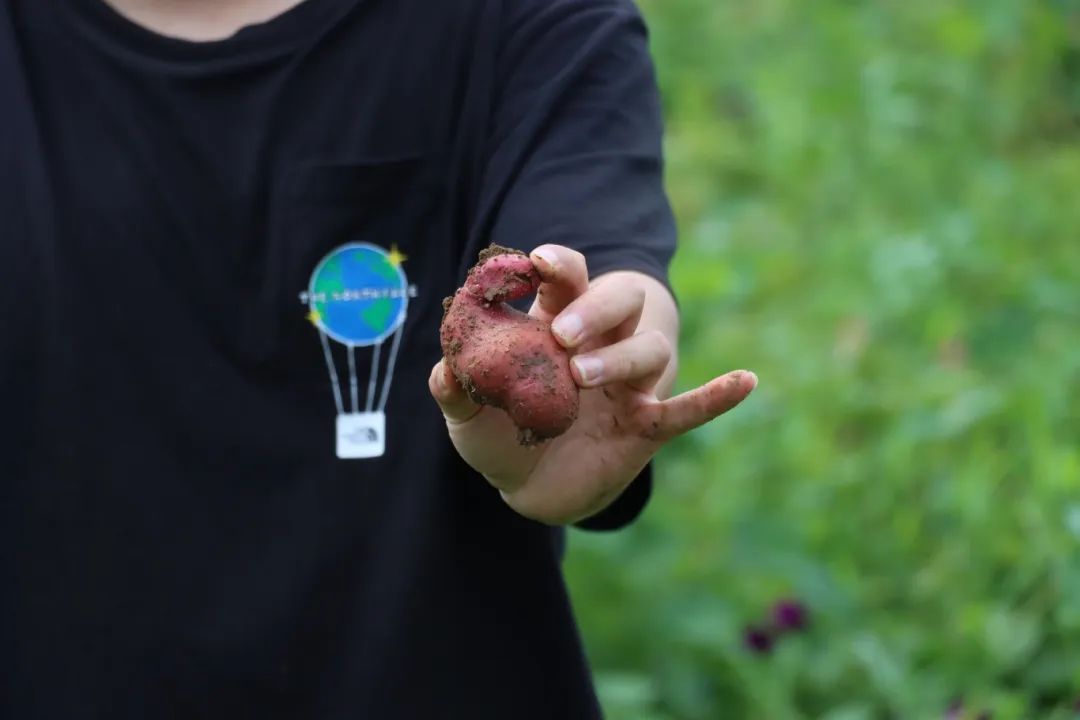 宝！贝！疙！瘩！