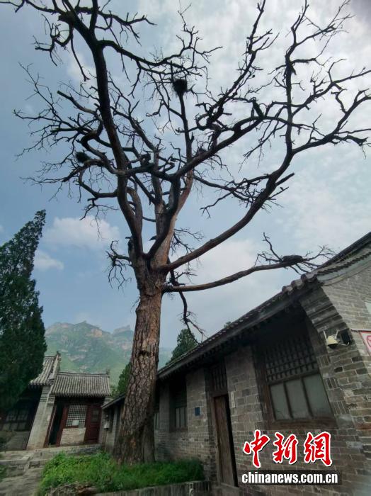 【光耀太行】山海无远：白求恩与中国的不朽友谊