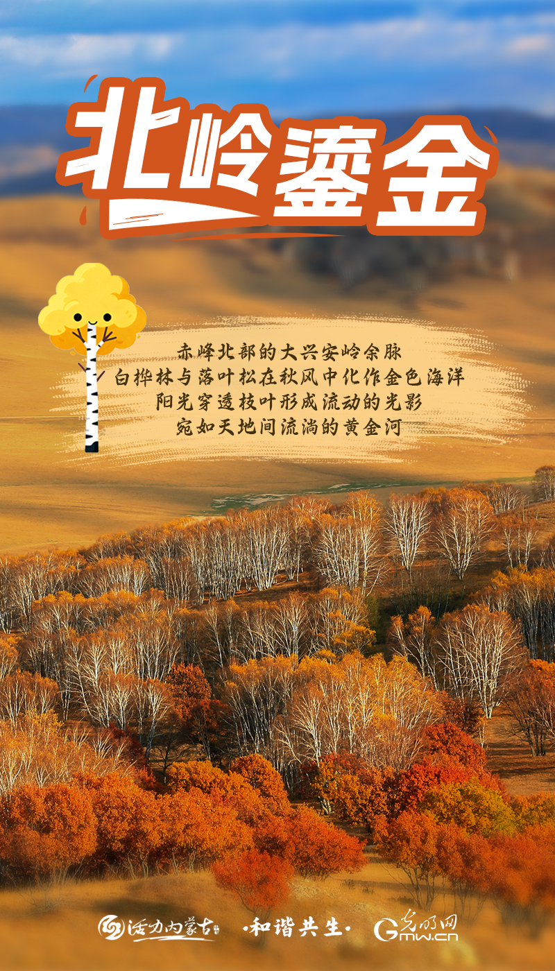 和谐共生丨走进内蒙古赤峰，赴一场鎏金与赤红的邀约