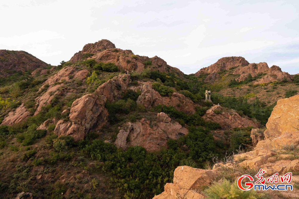 和谐共生|圣地红山披绿妆——探访红山国家森林公园 和谐共生|圣地红山披绿妆——探访红山国家森林公园