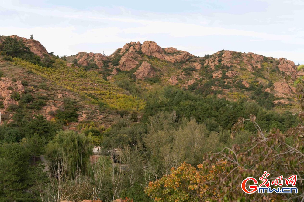 和谐共生|圣地红山披绿妆——探访红山国家森林公园 和谐共生|圣地红山披绿妆——探访红山国家森林公园