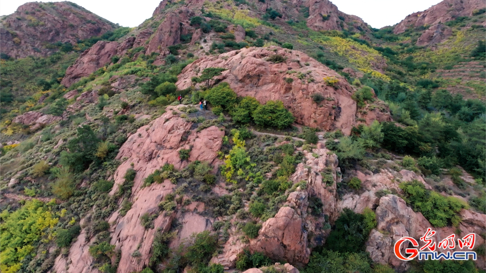 和谐共生|圣地红山披绿妆——探访红山国家森林公园 和谐共生|圣地红山披绿妆——探访红山国家森林公园