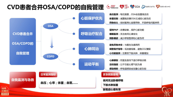 2025世界心脏日·核心说|霍勇:心血管疾病危险因素的防控新视角 2025世界心脏日·核心说|霍勇:心血管疾病危险因素的防控新视角