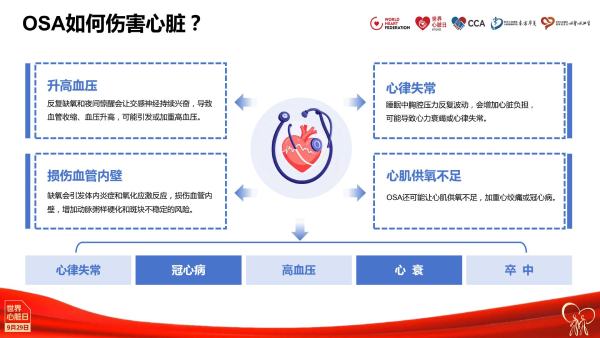 2025世界心脏日·核心说|霍勇:心血管疾病危险因素的防控新视角 2025世界心脏日·核心说|霍勇:心血管疾病危险因素的防控新视角