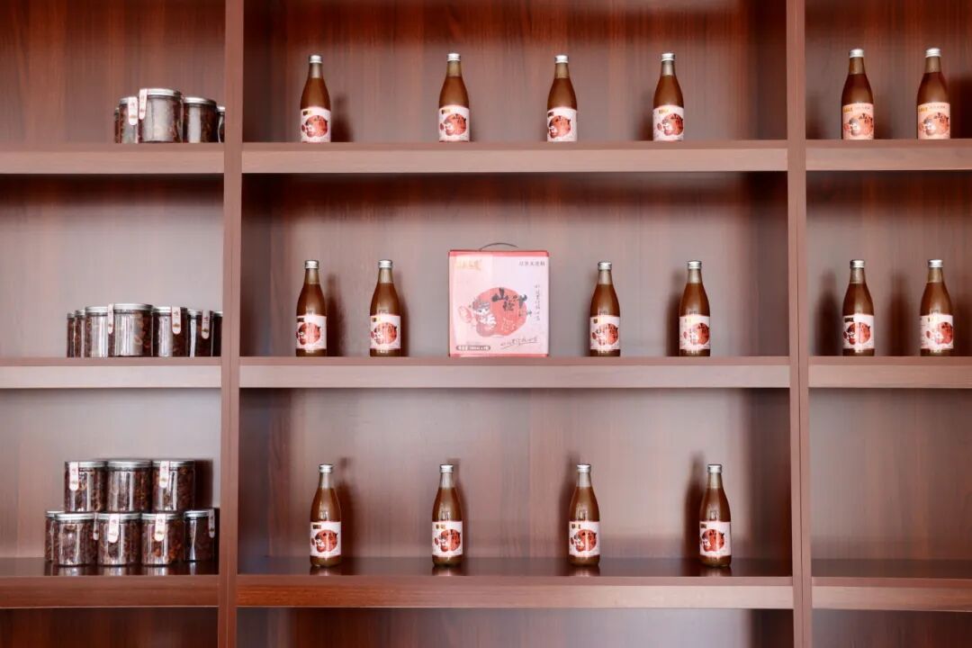 山楂红啦!大庄科乡山楂映红“致富路”—— 山楂红啦!大庄科乡山楂映红“致富路”——