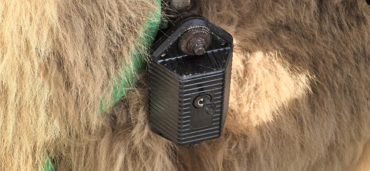 和谐共生｜从 “靠天养畜” 到 “沙湖掘金”