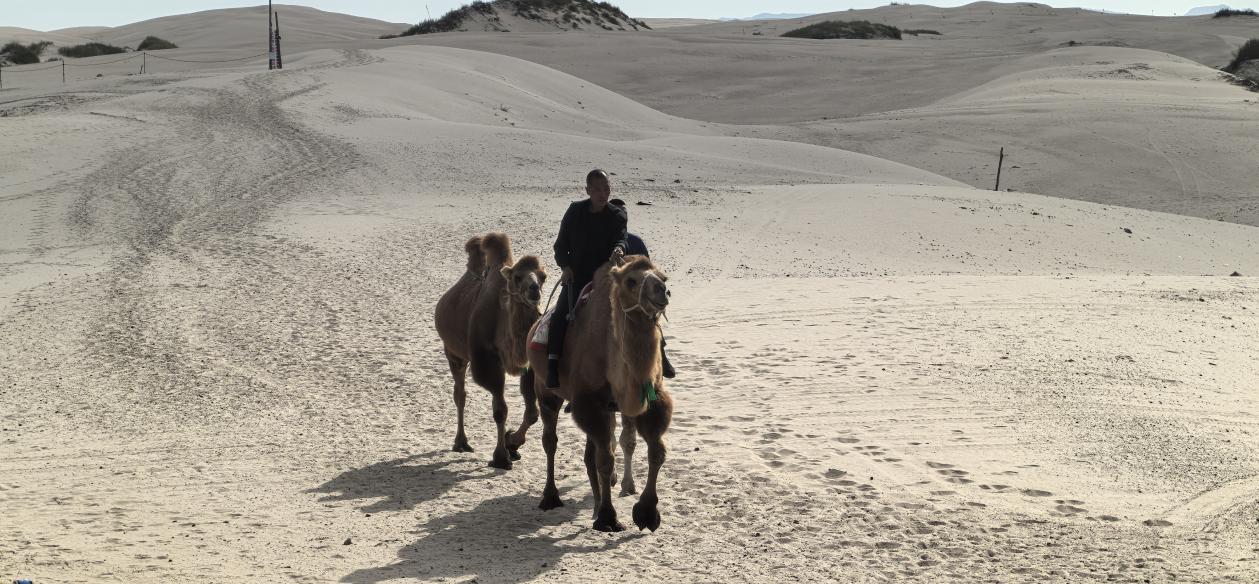 和谐共生｜从 “靠天养畜” 到 “沙湖掘金”