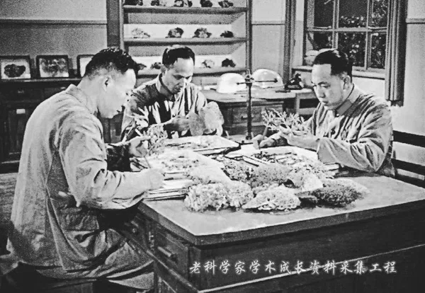 夜读 | “把肝病大国的帽子扔到太平洋去！”