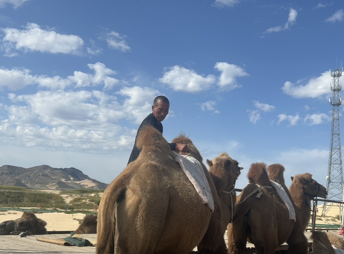 生态执笔 沃野生金—内蒙古赤峰乡村振兴的“绿色答卷”