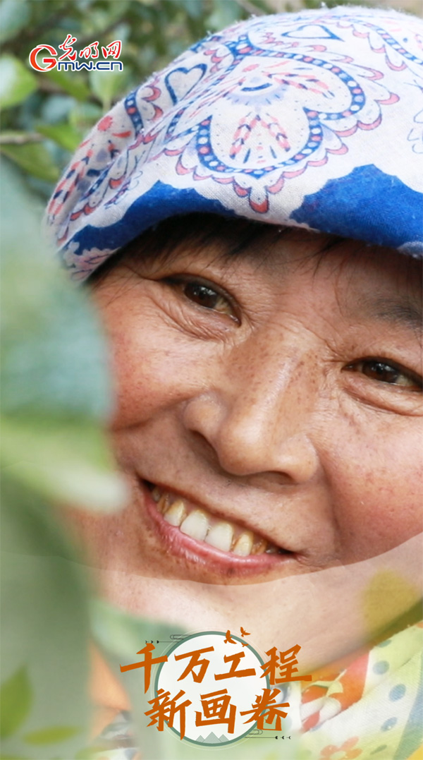 【科普60秒】果农巧用“科技处方”,苹果入冬“超长在线” 【科普60秒】果农巧用“科技处方”,苹果入冬“超长在线”