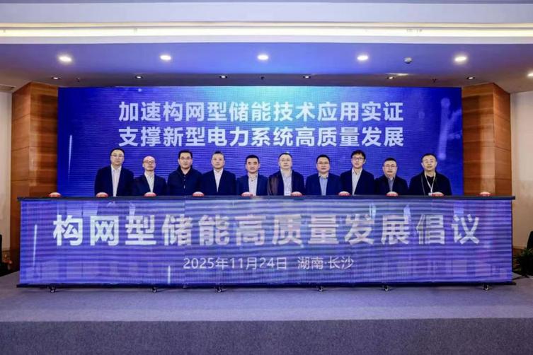 加速构网技术验证应用,支撑新型系统高质量发展