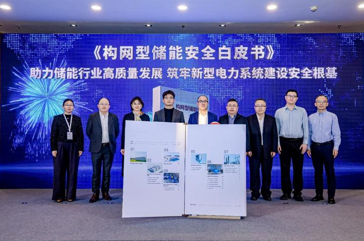 加速构网技术验证应用,支撑新型系统高质量发展