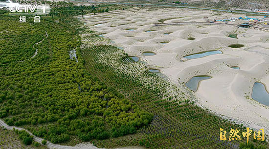 循自然之法,守山河岁岁长青!《山水工程》即将开播 循自然之法,守山河岁岁长青!《山水工程》即将开播