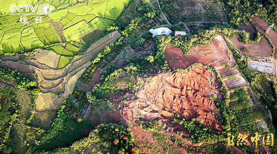 循自然之法,守山河岁岁长青!《山水工程》即将开播 循自然之法,守山河岁岁长青!《山水工程》即将开播