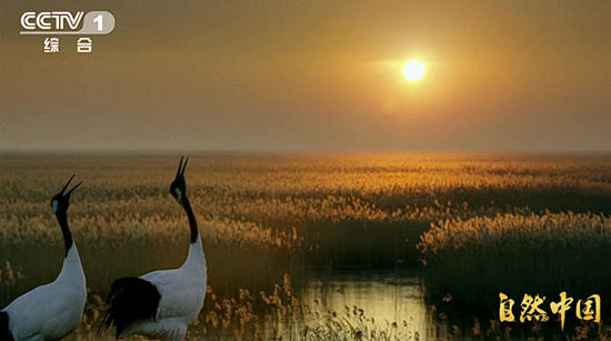 循自然之法,守山河岁岁长青!《山水工程》即将开播 循自然之法,守山河岁岁长青!《山水工程》即将开播