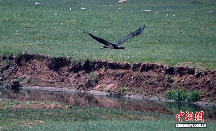 “三北”治理见成效 塞北山川绘就生态富民新图景