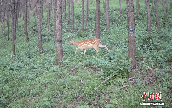 “三北”治理见成效 塞北山川绘就生态富民新图景