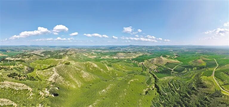 “揭榜挂帅”写下防沙治沙新答卷