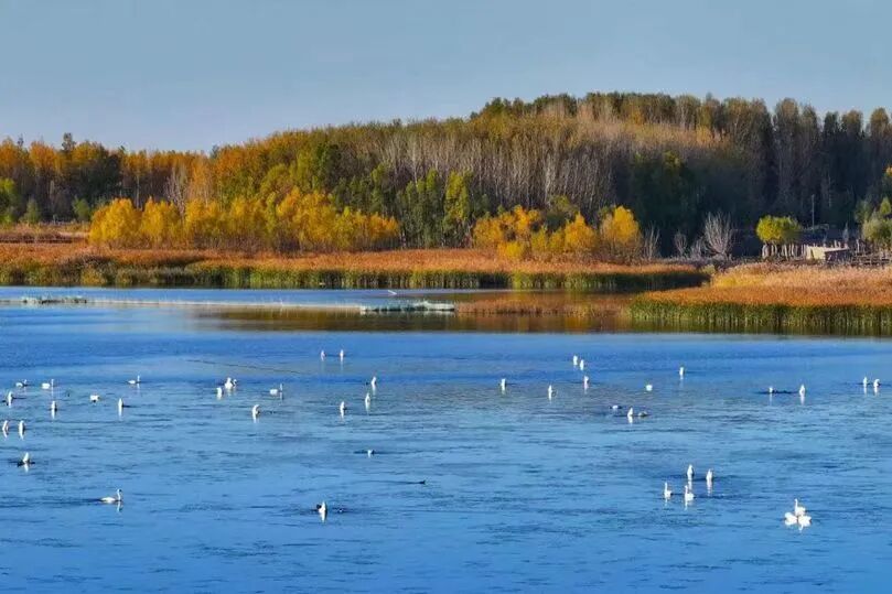 天蓝水清地绿通辽生态焕新颜 图片