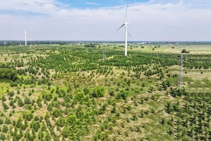 天蓝水清地绿通辽生态焕新颜 图片