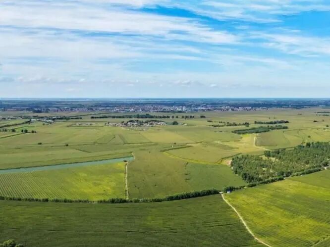 天蓝水清地绿通辽生态焕新颜 图片