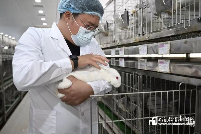 “00后”开大学子破局“金兔育种”:从田埂到国赛夺金的淬炼之路