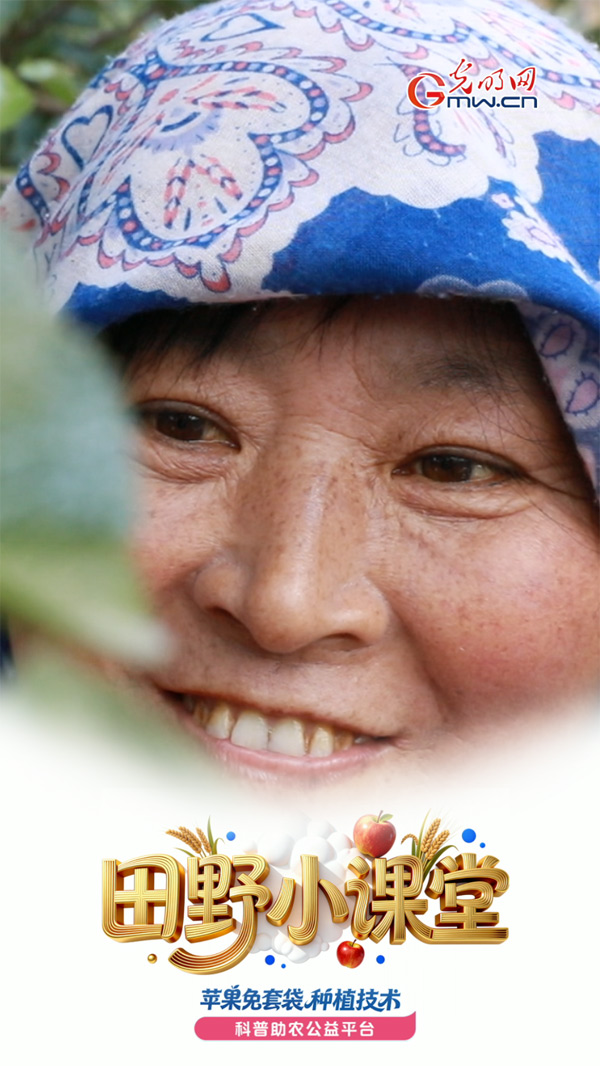 田野小课堂丨敷上“纳米面膜”的苹果,藏了这么多奥妙 田野小课堂丨敷上“纳米面膜”的苹果,藏了这么多奥妙