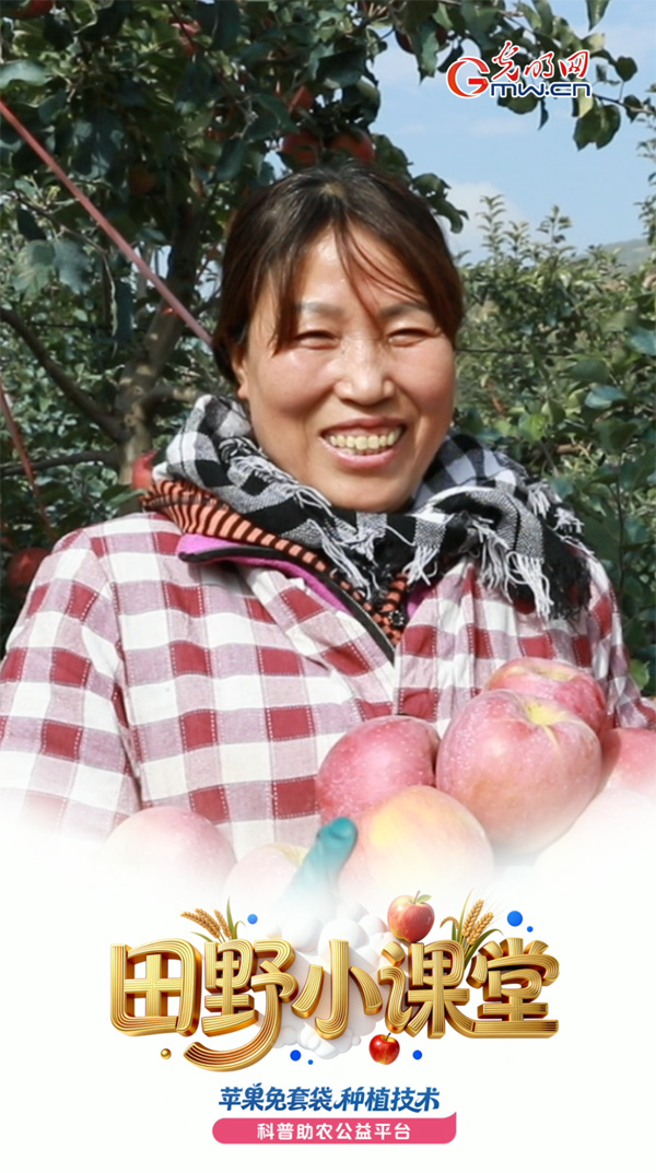 田野小课堂丨专家施了啥魔法，让苹果入冬还能“超长待机”？