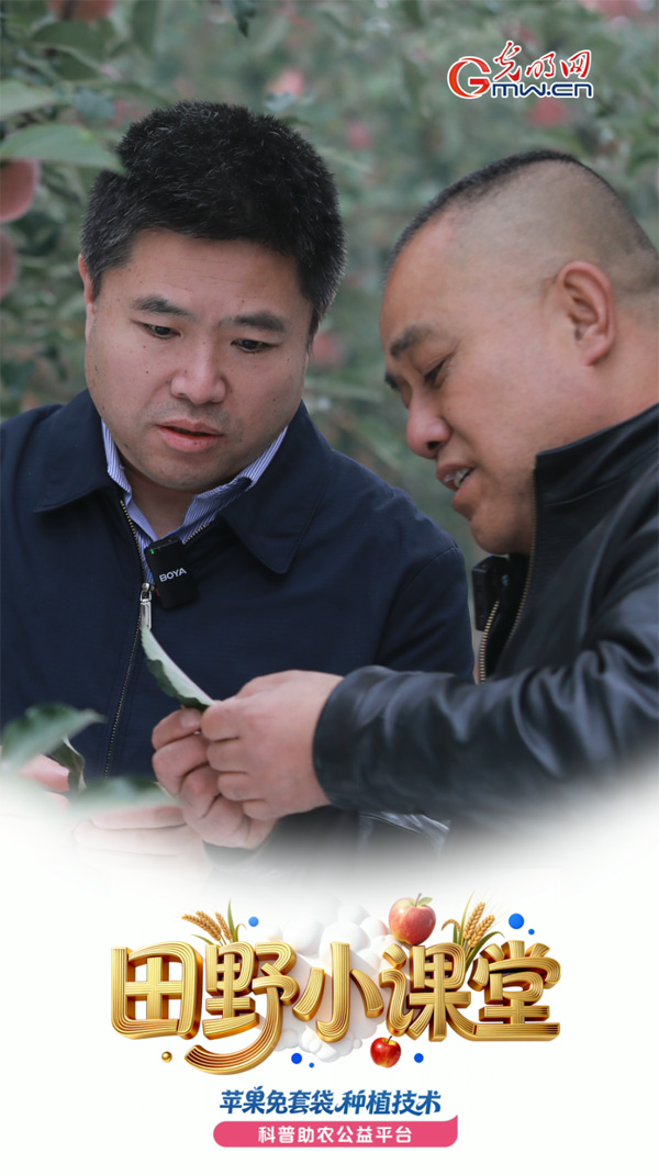 田野小课堂丨五省区带头吃螃蟹的果农一句话感动了技术专家 田野小课堂丨五省区带头吃螃蟹的果农一句话感动了技术专家