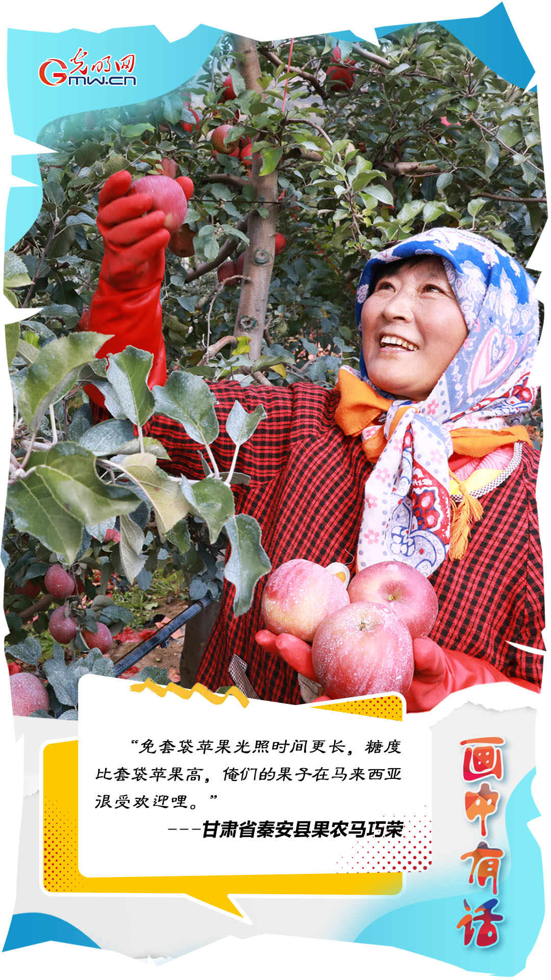 甘肃省秦安县果农马巧荣：俺们的果子在马来西亚很受欢迎哩