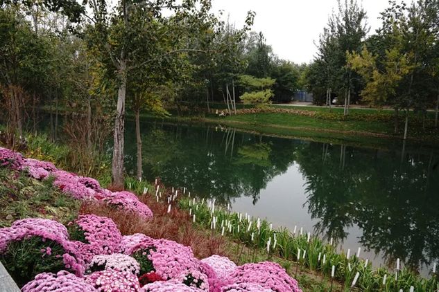 北京朝阳:2025年启动建设130公里绿道,实施绿隔公园功能提升改造 北京朝阳:2025年启动建设130公里绿道,实施绿隔公园功能提升改造