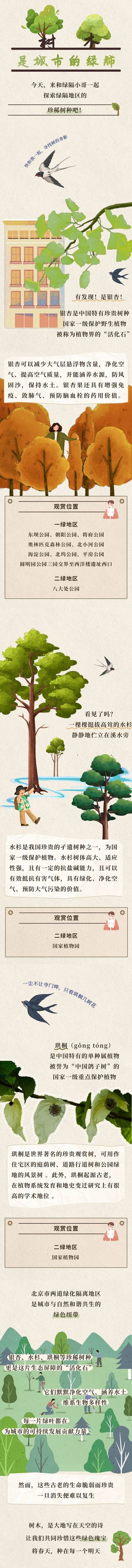 神奇的树木在这里——介绍绿隔地区的珍稀树种