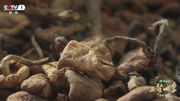 《三餐四季》特别节目:年味藏三餐,团圆暖人间 《三餐四季》特别节目:年味藏三餐,团圆暖人间