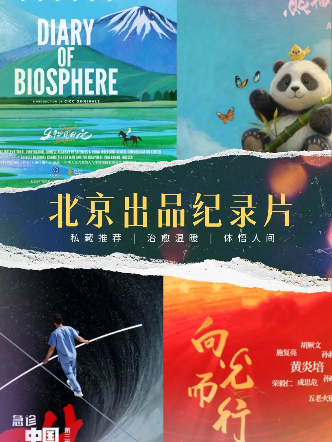 真实出圈,北京出品纪录片开年燃动荧屏