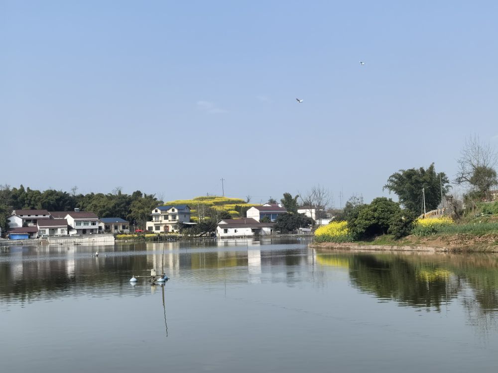 新春走基层·驻外记者回乡手记｜这座西南小城何以吸引世界目光