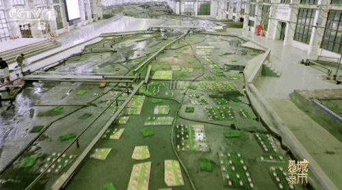 嵩山为脊,黄河为脉!《城市风华录》走进郑州 嵩山为脊,黄河为脉!《城市风华录》走进郑州