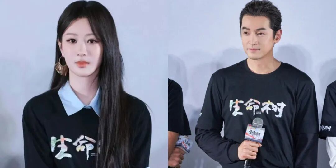 豆瓣8.3分、触达8.34亿人!《生命树》爆火,主创解密四大“破圈密码”