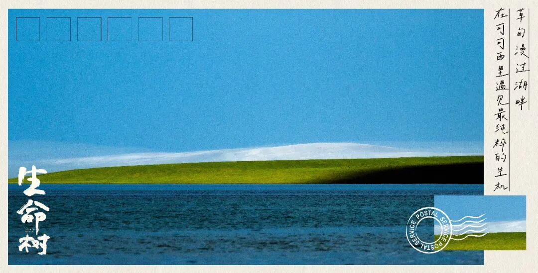 UP!“北京大视听”引领力 |胡智锋评电视剧《生命树》的生态史诗品格与精神守望