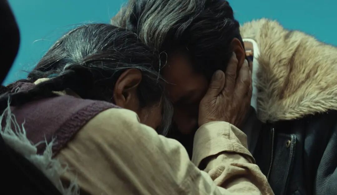 UP!“北京大视听”引领力 |胡智锋评电视剧《生命树》的生态史诗品格与精神守望