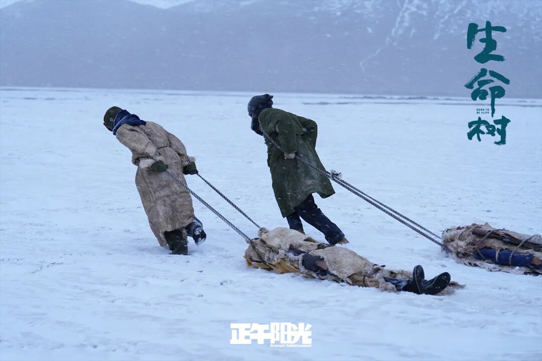 UP!“北京大视听”引领力 |胡智锋评电视剧《生命树》的生态史诗品格与精神守望 008IZXDZly1i9xyeg3nwtj31900u0hdt.jpg