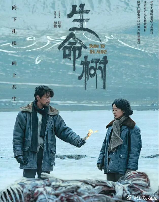 赵彤:西北望 有篇章——看“北京大视听”《生命树》的两点感受