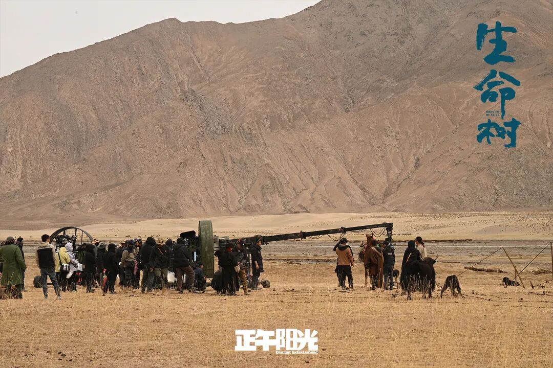 吕帆:以匠心守文艺初心,从《生命树》看长剧在新大众文艺背景下的拓展与回归 008IZXDZly1i9wujvs2i4j31900u0b2a.jpg