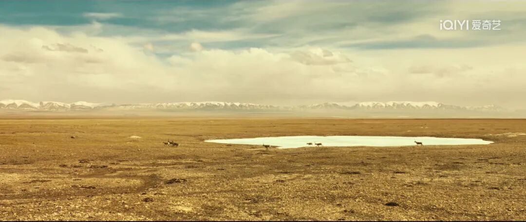 刷屏两会的精品剧,藏在“北京大视听”的必刷片单里