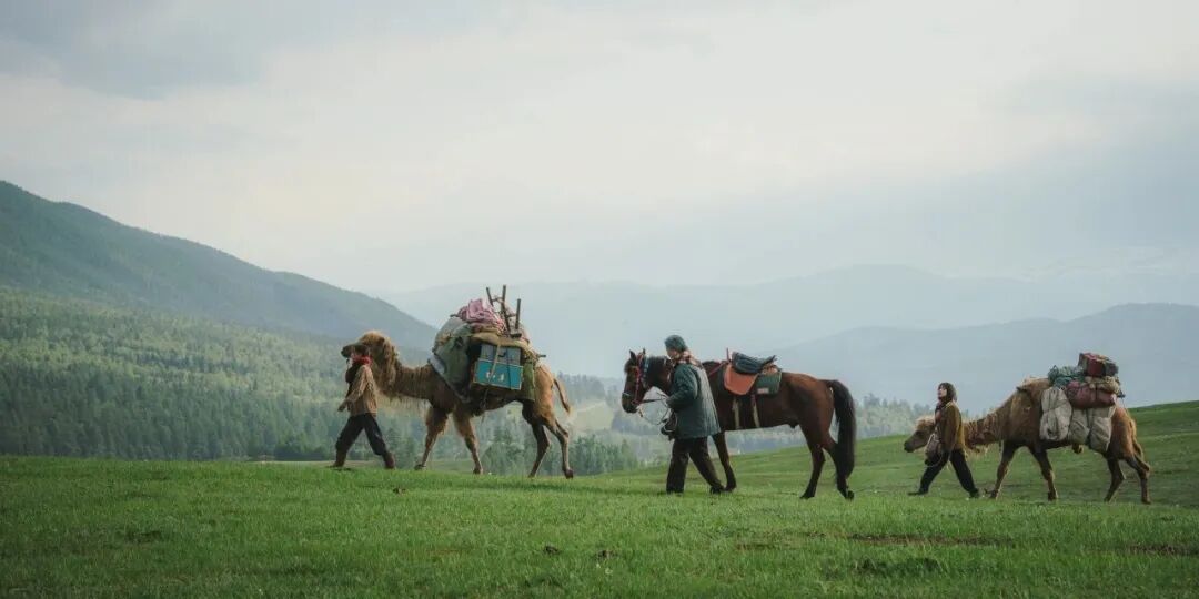 刷屏两会的精品剧,藏在“北京大视听”的必刷片单里