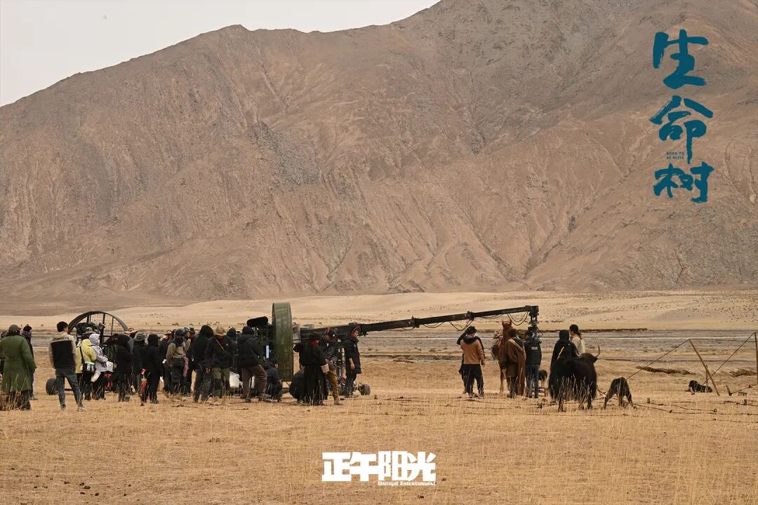 胡歌讲述《生命树》:成为守护者,让敬畏之心扎根大地